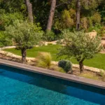 Piscine chauffée de l'Hôtel Villa Padulaccia bordée d'oliviers et de massifs du jardin