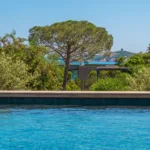 Surface de la piscine chauffée de l'Hôtel Villa Padulaccia, pin parasol et maquis, la mer et la tour de l'île de Pinarellu au loin