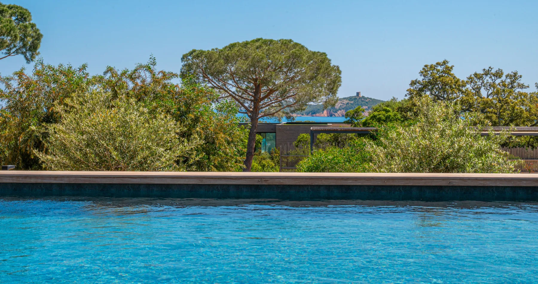 Surface de la piscine chauffée de l'Hôtel Villa Padulaccia, pin parasol et maquis, la mer et la tour de l'île de Pinarellu au loin
