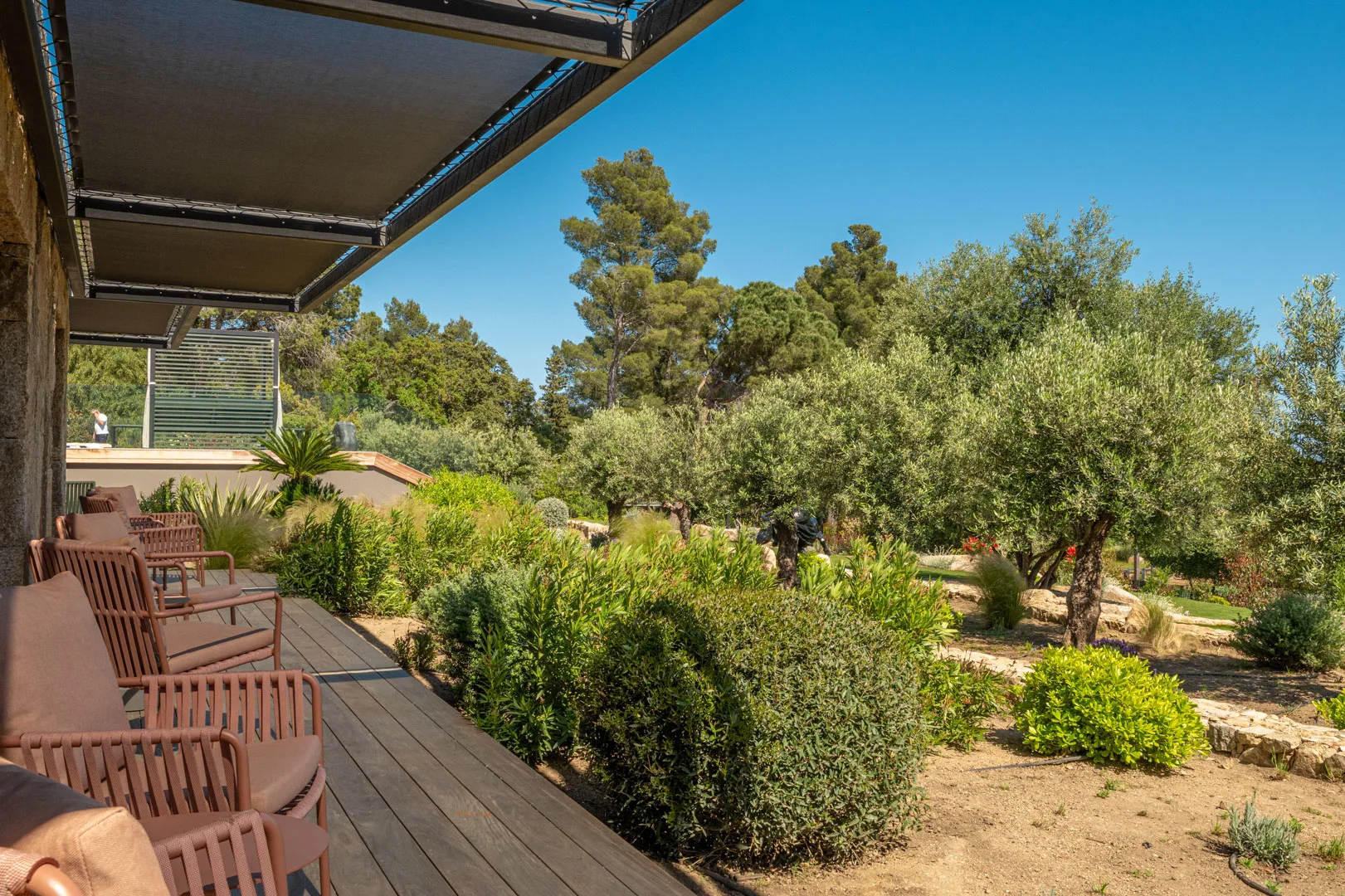 Terrasse en bois et fauteuils du rez-de-jardin de l'Hôtel Villa Padulaccia, oliviers et maquis